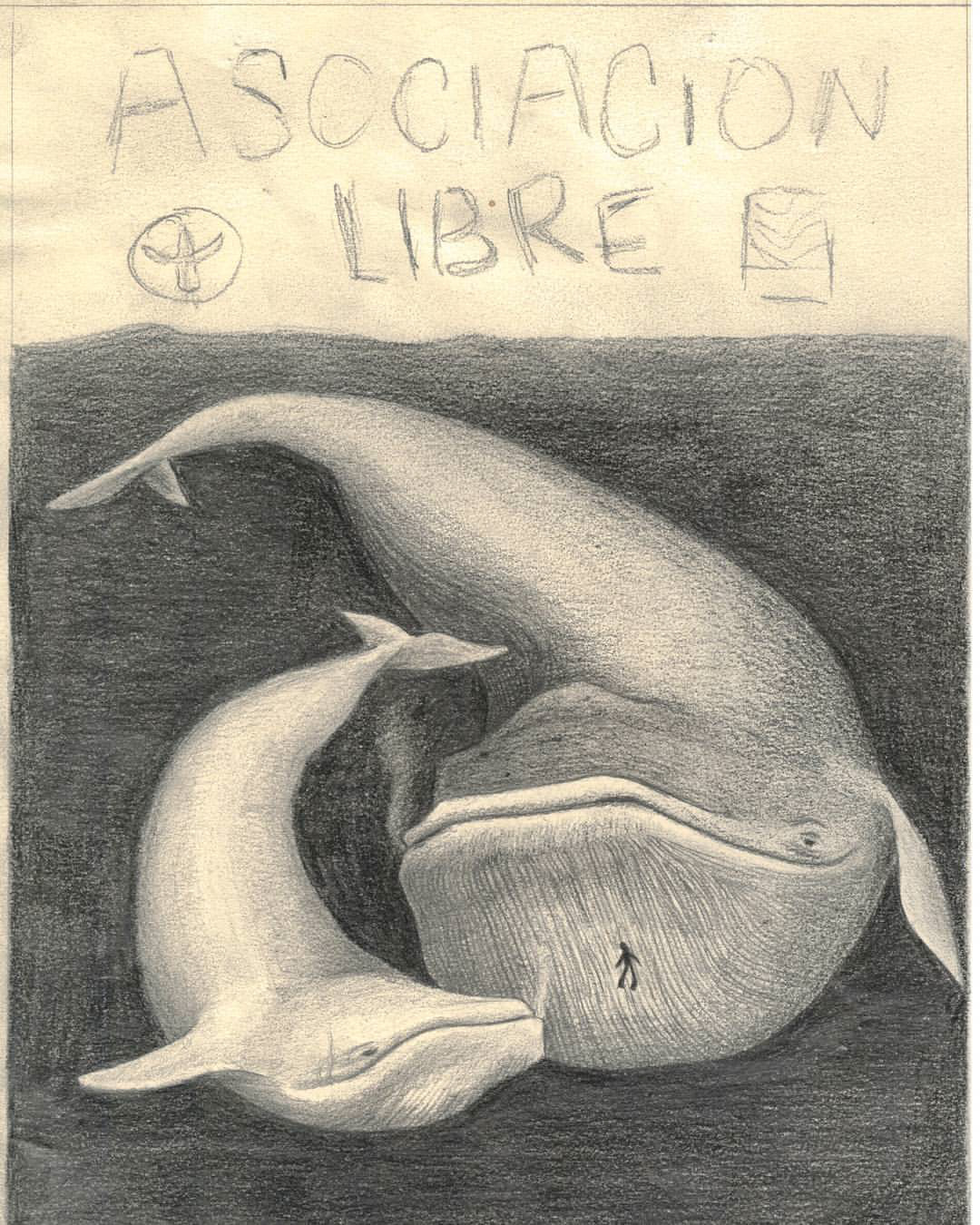 Ilustración de ballenas para la portada de Asociación Libre.